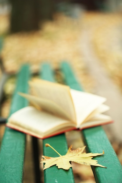 Livre ouvert se trouvant près des feuilles d'automne sur le banc dans le parc