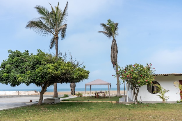 livre photo d'une maison de plage avec des palmiers sur la côte du Pérou