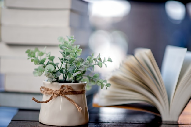 Livre posé sur le bureau Beaucoup de livres, de belles couleurs pour étudier