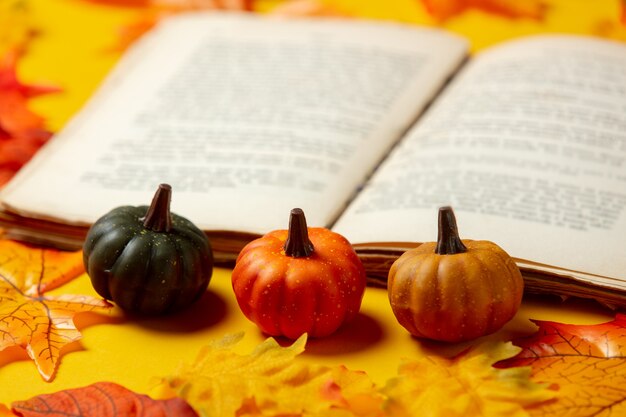 Livre romantique et citrouille avec des feuilles d'automne sur fond jaune. Vue de dessus