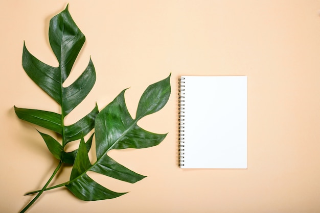 Livre vide plat laïcs pour travail de conception deux feuilles sur fond de couleur pastel jaune.