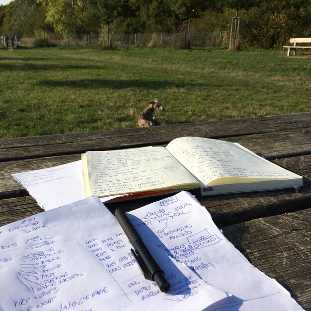 Photo des livres sur la table.