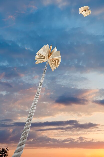 Livres volants et attachés dans le ciel du coucher du soleil