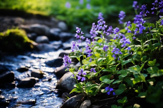 Photo des lobélias sauvages fleurissent le long d'un ruisseau dans la forêt.