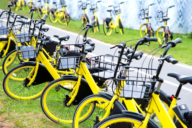 Location de vélo jaune. Beaucoup de vélos jaunes se tiennent sur l'herbe verte