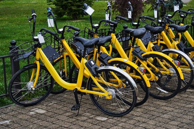 Location de vélos jaunes parking