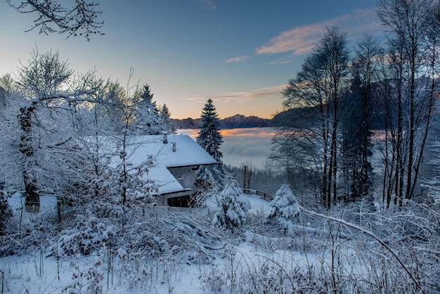 Lodge immergé dans la neige