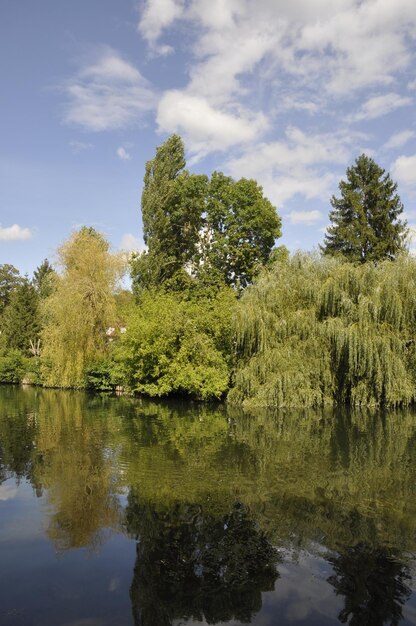 Photo le loing à moret sur loing