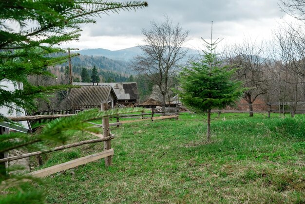 Loisirs de plein air Vue sur la montagne verte des arbres et une maison en bois Carpates Ukraine