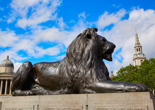 London Trafalgar Square Lion Au Royaume-uni