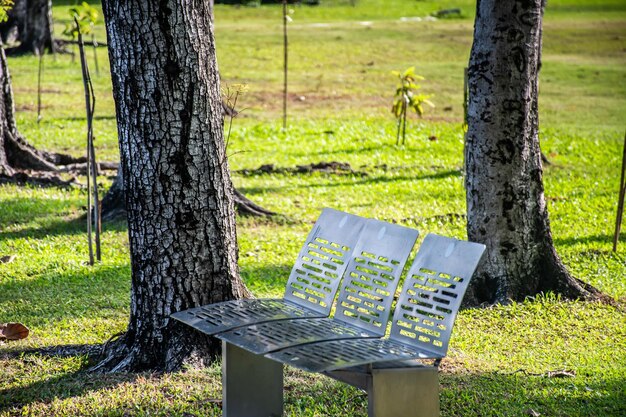 Long banc dans le parc