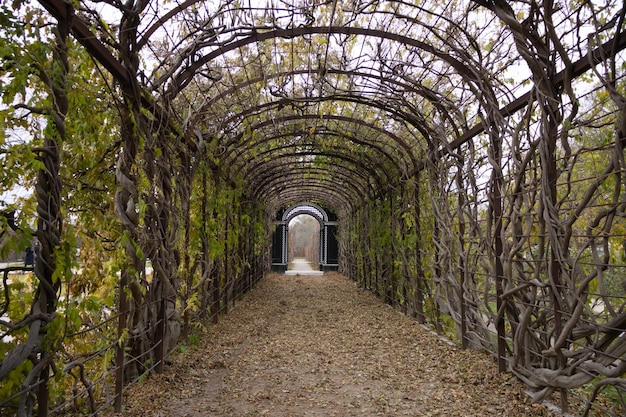 Long gazebo à roses avec une porte décorée à l'entrée