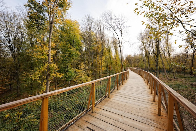 Long pont de Woden dans la forêt d'automne