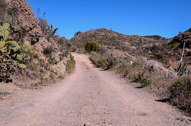 Long Straight Dirt Desert Road disparaît dans l'horizon.