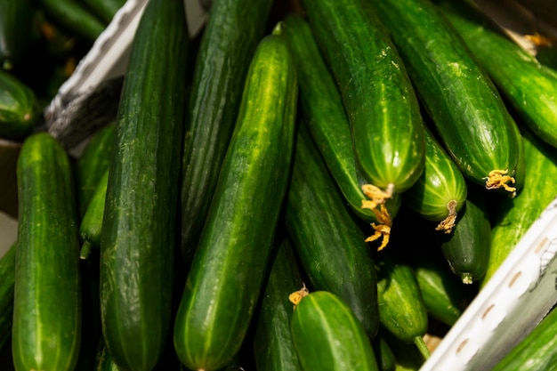 Longs concombres frais dans une boîte dans le magasin. Fermer. Végétarisme et vitamines.