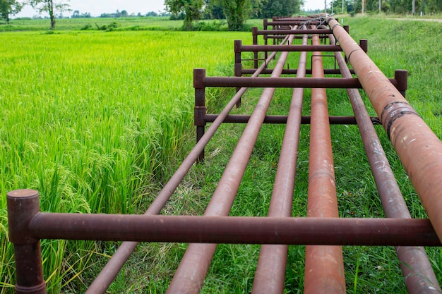 Longs tuyaux en acier dans le trou de forage de pétrole brut