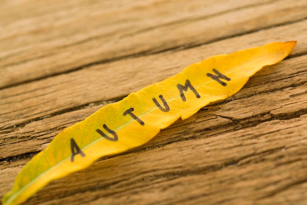 Longue feuille jaune avec l'inscription AUTOMNE sur le vieux fond en bois avec des fissures