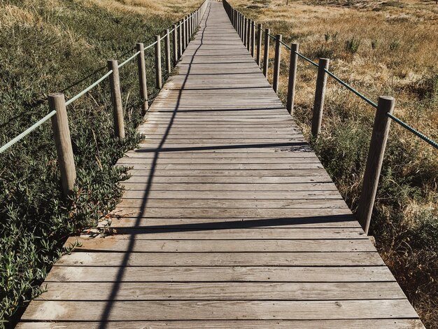 Une longue jetée en bois au-dessus d'une prairie