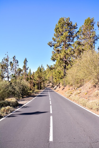Longue route asphaltée vide du désert à Tenerife Îles Canaries Espagne