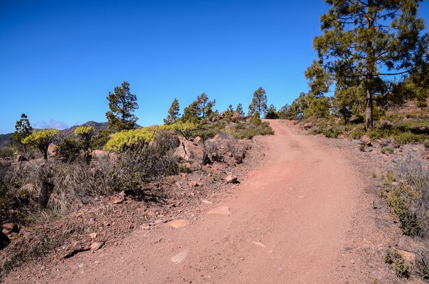 La longue route droite du désert de terre disparaît dans l'horizon à Gran Canaria Espagne