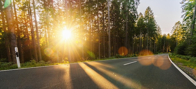 Longue route forestière sinueuse dans les montagnes alpines au coucher du soleil