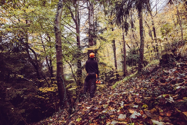 Photo longueur complète de l'homme bûcheron avec tronçonneuse dans la forêt