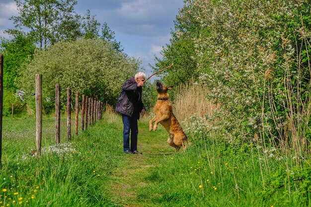 Photo longueur complète d'un homme tenant un bâton avec un chien sautant sur l'herbe