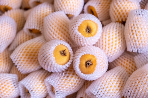 Loquat enveloppé dans des sacs en mousse