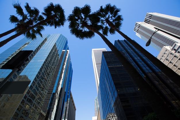 Los Angeles au centre-ville avec des palmiers