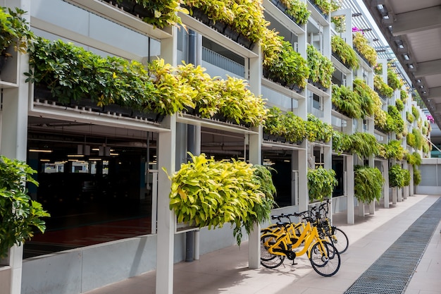 Louez un vélo avec des vélos jaunes à Singapour