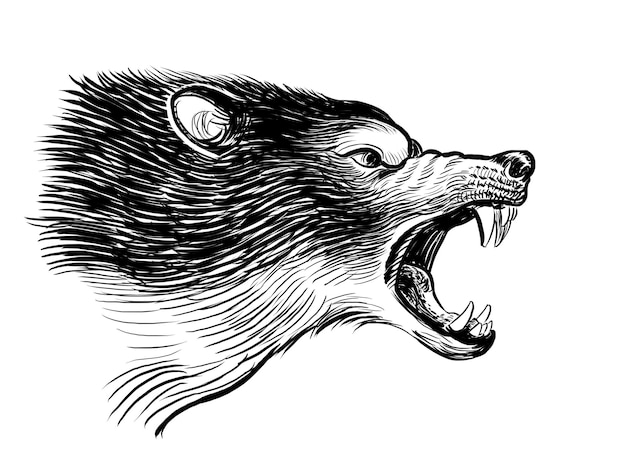 Loup en colère Illustration en noir et blanc dessinée à la main