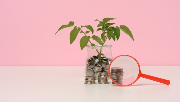 loupe rouge et pièces blanches dans un bocal en verre et sur la table, pousse avec des feuilles vertes. Concept de croissance des revenus, pourcentage élevé d'investissement