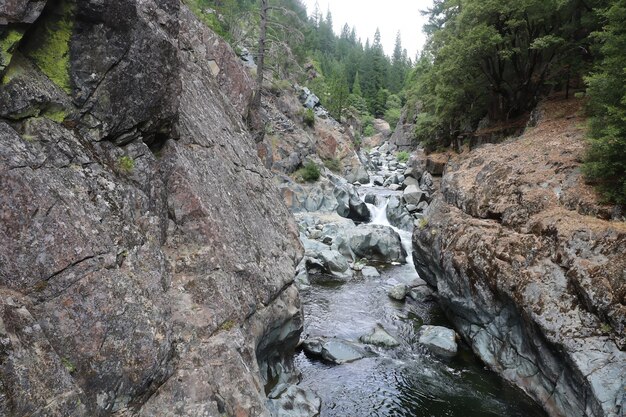 Photo love falls à eureka plumas forest lake basin en californie