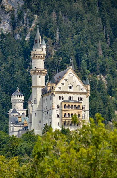 Low angle shot vertical du château de Neuschwanstein à Schwangau, Allemagne