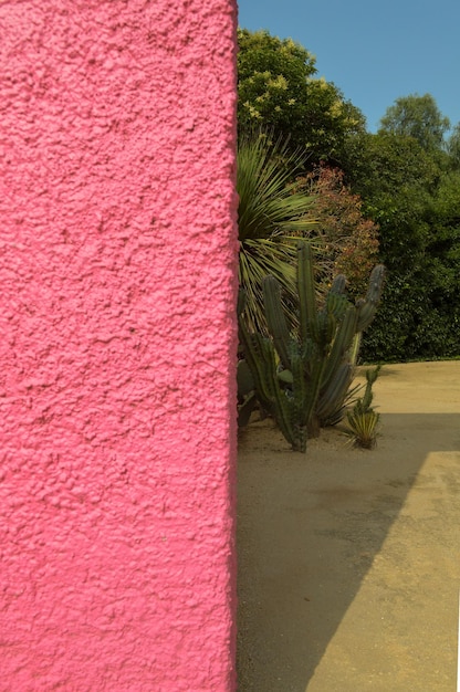 Luis barragans cuadra san cristobal mur rose végétation endémique et sol sablonneux en arrière-plan