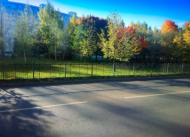 Lumière dramatique sur fond de route d'automne vide