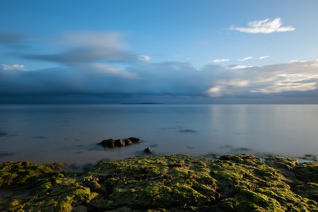 Lumière du soleil du matin éclairant les rochers remplis d'algues. L'île d'Iriomote.