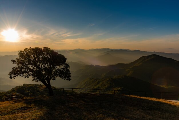 La lumière du soleil du soir