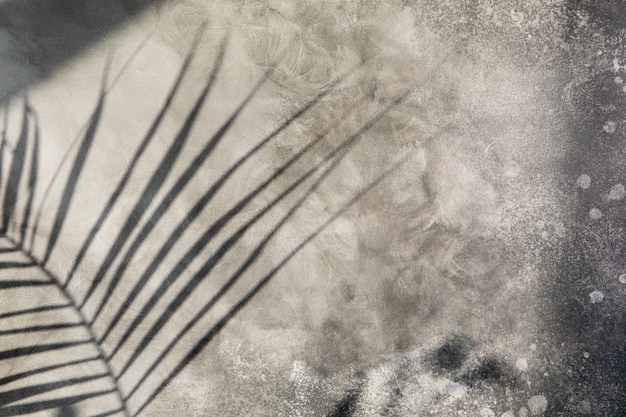 La lumière du soleil jette sur un mur de béton gris, ombre parasol de la feuille de palmier. Fond d'été