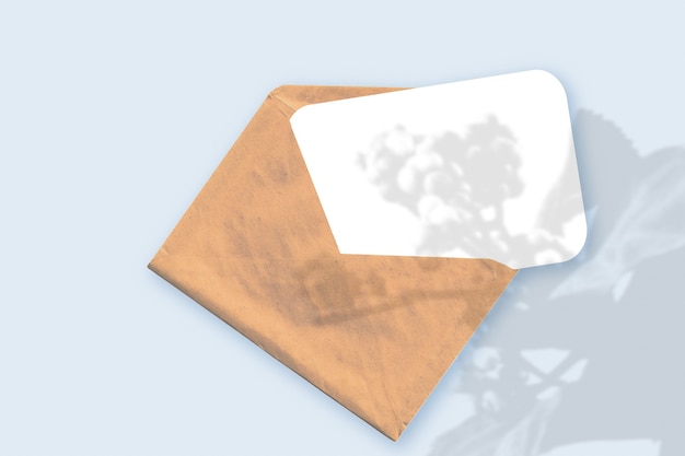 La lumière naturelle projette des ombres de la plante sur une enveloppe avec une feuille de papier blanc posée sur un fond texturé bleu