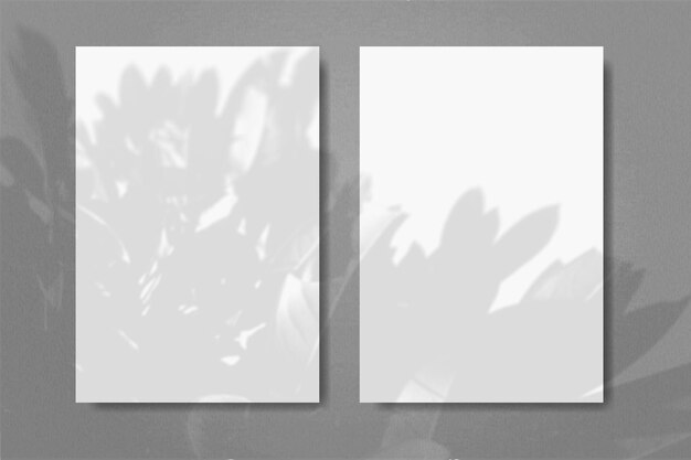 Photo la lumière naturelle projette des ombres de la plante sur des rectangles verticaux des feuilles de papier blanc posées sur un