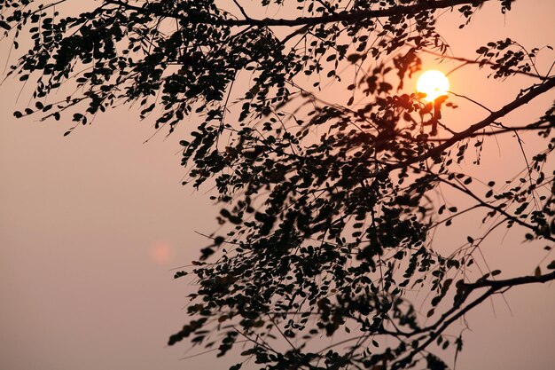 lumière orange fraîche en hiver