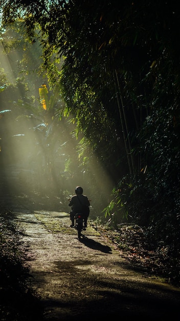 Lumière de rayonnement et moto