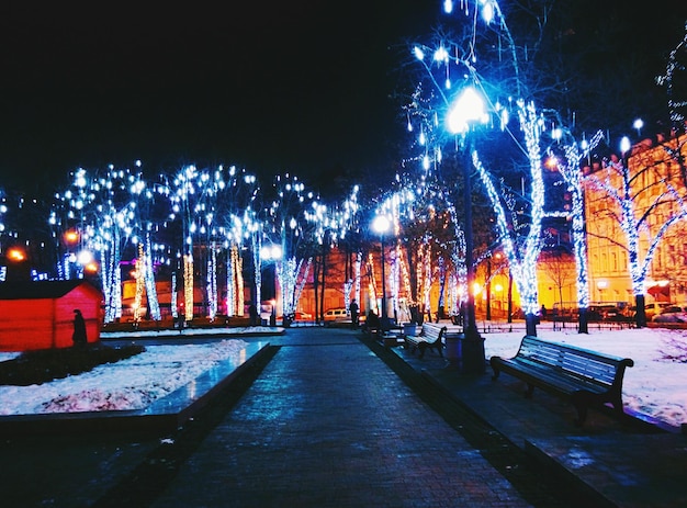 Photo lumière de rue éclairée la nuit