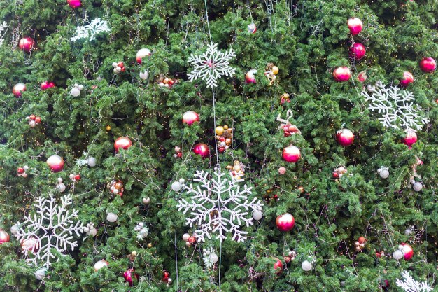 Lumières d&#39;arbre de Noël