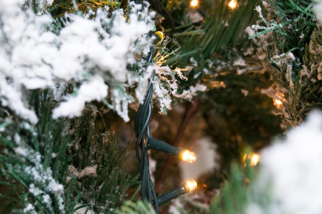 Lumières sur l'arbre de Noël