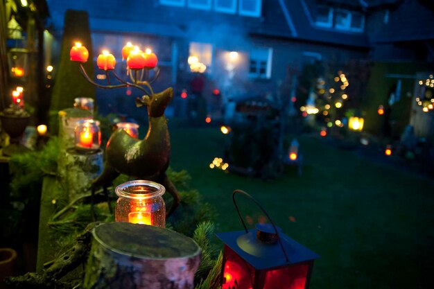 Les lumières dans le jardin