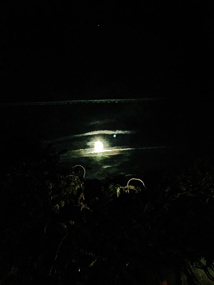 Photo des lumières éclairées la nuit.