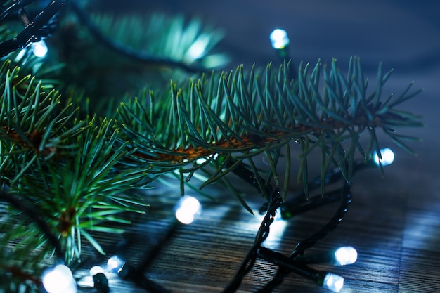 Lumières de Noël et branches d'épicéa