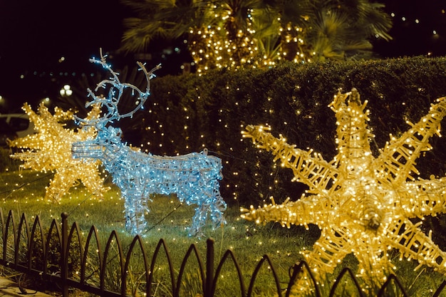 Lumières De Noël. Les étoiles Et Les Rennes.